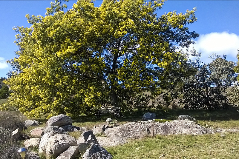 predio5